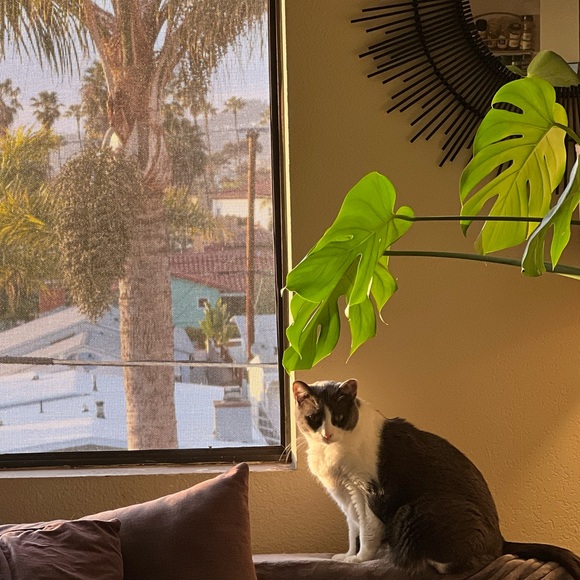 Meet your Posher, Teri - Picture 8 of 12